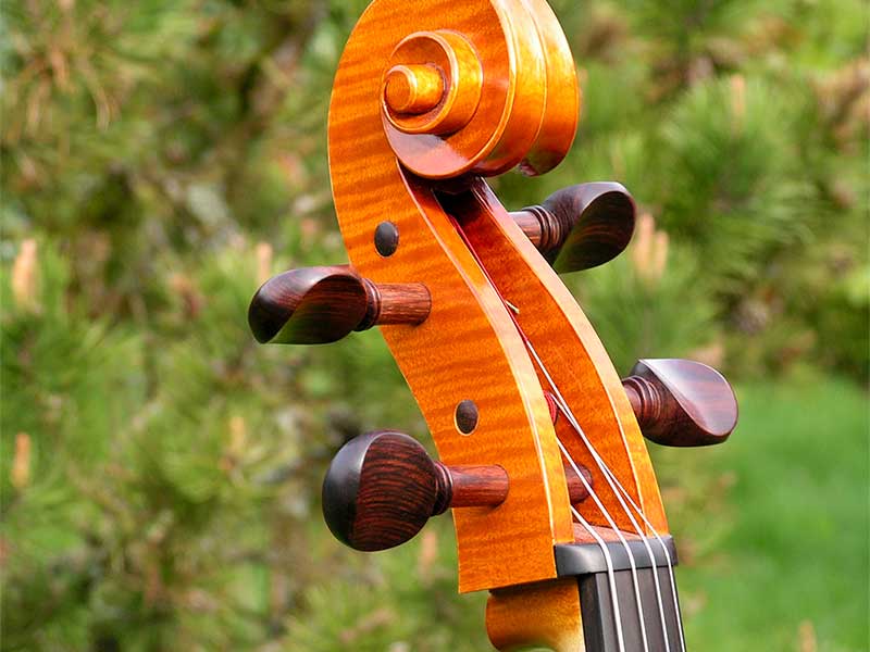 Tête violoncelle Geoffroy Mercier